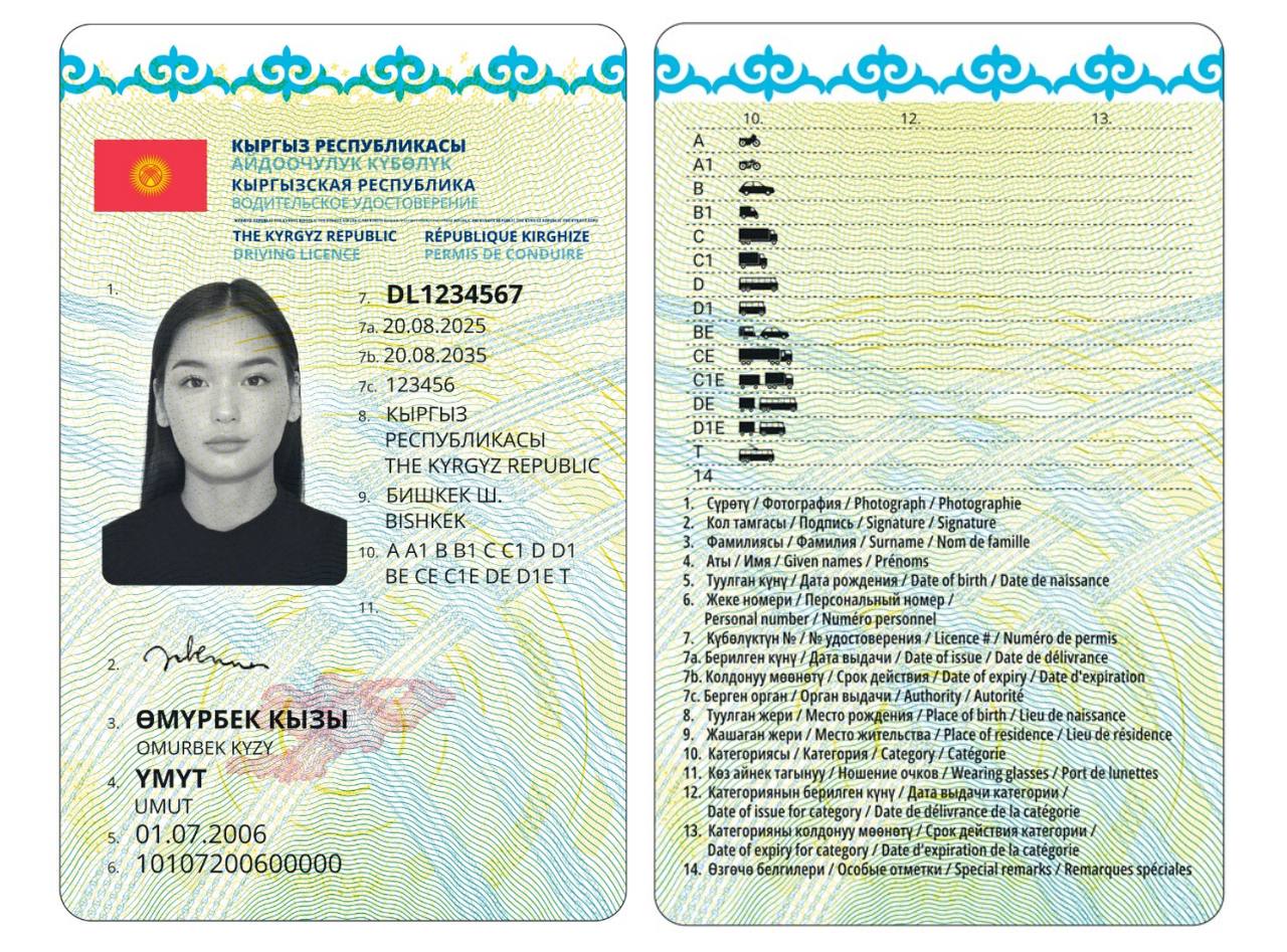 Өкмөт жаңы үлгүдөгү айдоочулук күбөлүктү көрсөттү