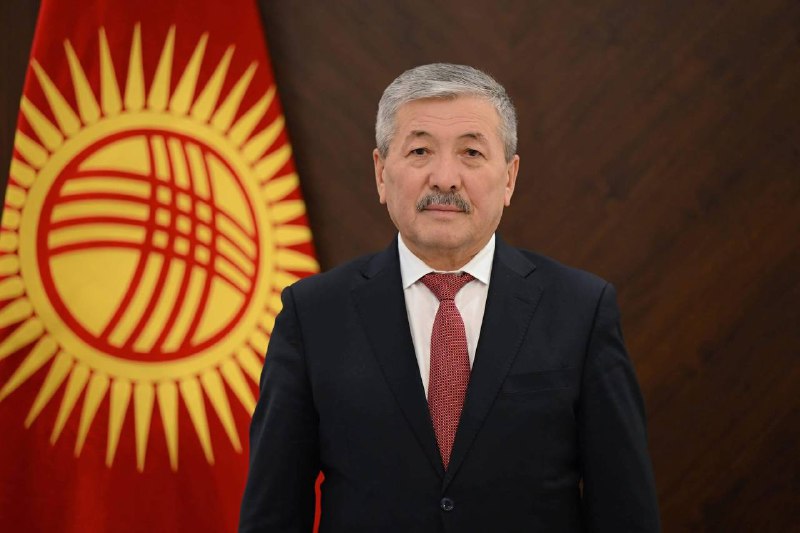 Өкмөт башчы Ден соолугунун мүмкүнчүлүгү чектелген адамдардын эл аралык күнүнө карата кайрылуу жасады