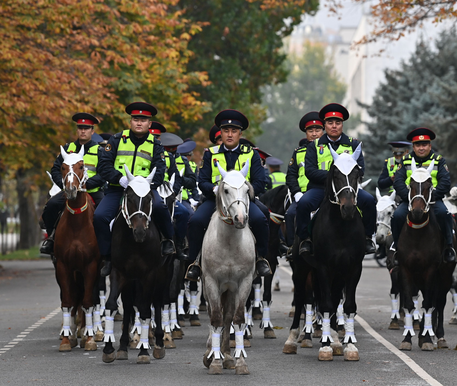 Бишкекте атчан патрулдун саны 50-60ка чейин көбөйөт